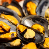 Whole Mussels 500g (Plain Bag) - Pacific Bay