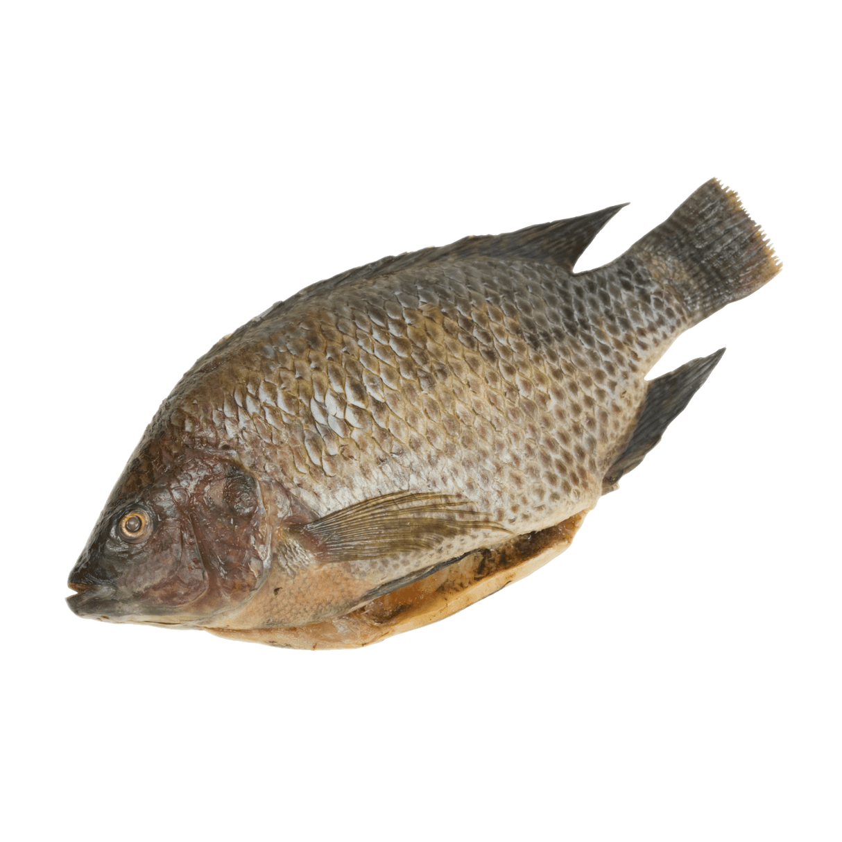 Whole Tilapia - Pacific Bay