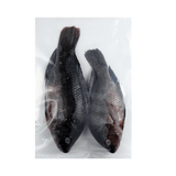 Whole Tilapia - Pacific Bay