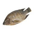 Whole Tilapia - Pacific Bay