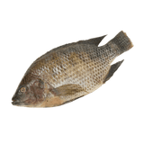 Whole Tilapia - Pacific Bay