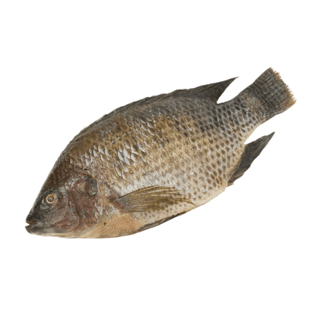 Whole Tilapia - Pacific Bay