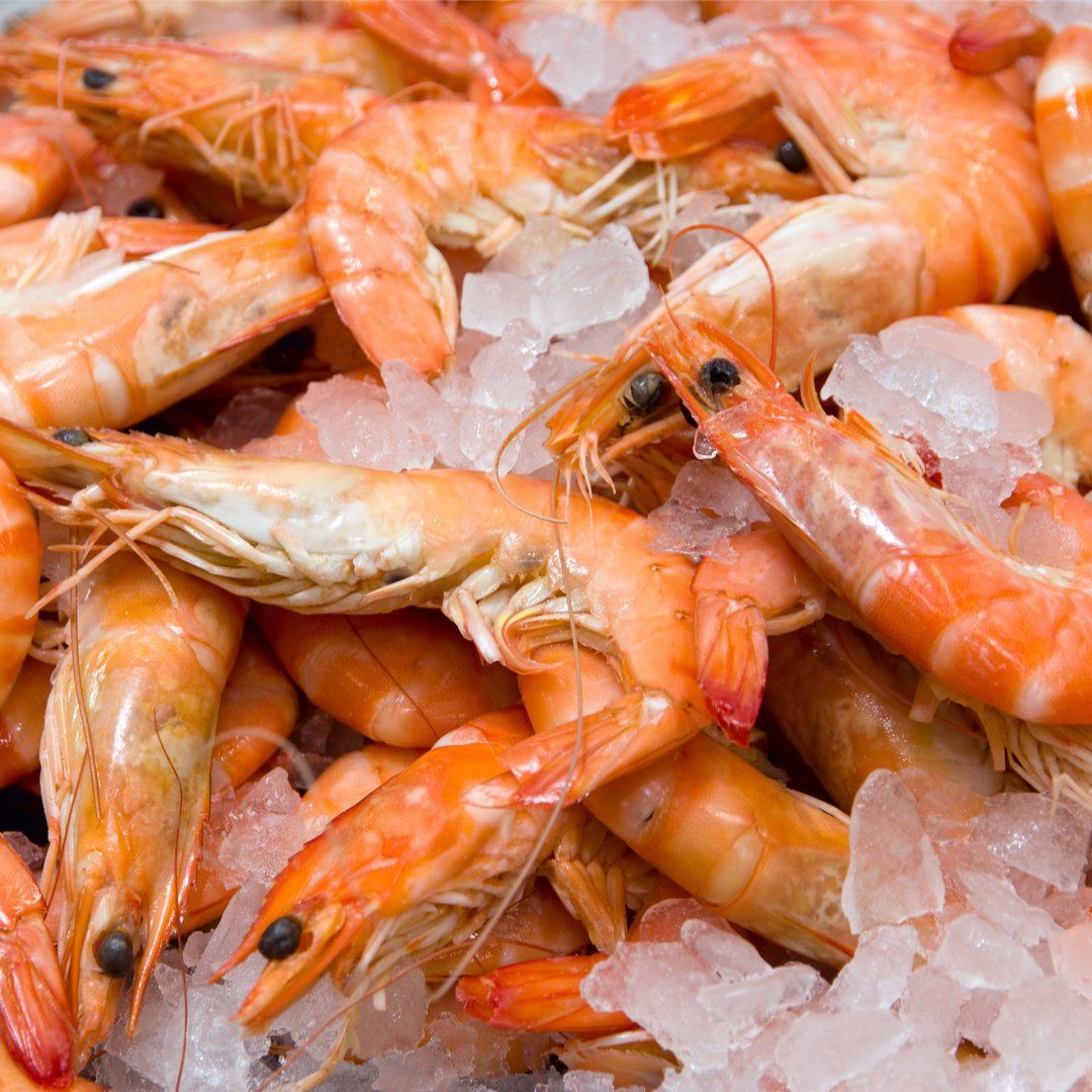 Cooked Head on Shrimp - Pacific Bay