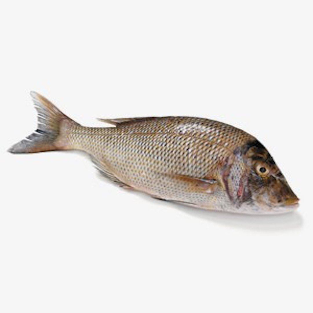 Cleaned Whole Emperor Fish (Betilya) | pacificbay.com.ph – Pacific Bay