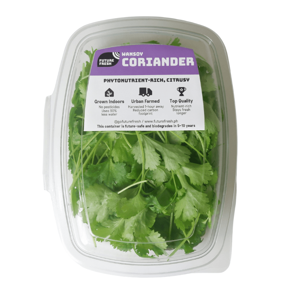 Future Fresh Coriander (Wansoy) - Pacific Bay