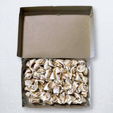 Mini Wonton Hot - Pacific Bay