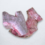 Premium Tuna Panga - Pacific Bay