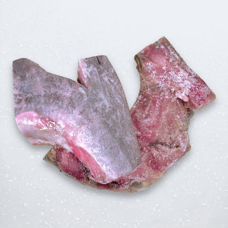 Premium Tuna Panga - Pacific Bay