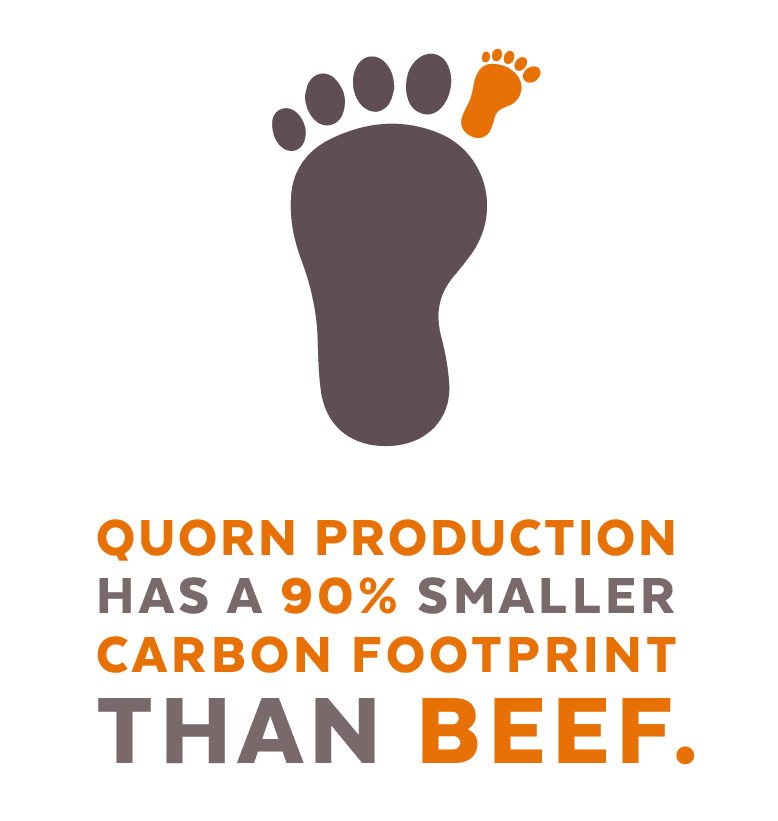 Quorn Pieces - Pacific Bay